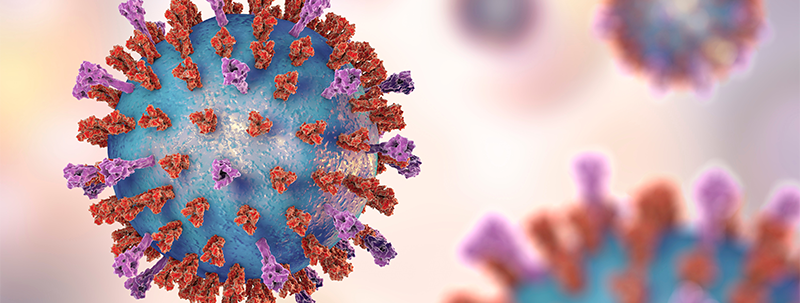 RSV virus