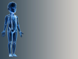 3D Rendering of skeleton of child