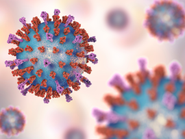 RSV virus