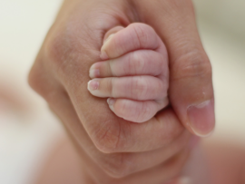 Pediatric Palliative Care and End-of-Life Treatment (3.25 hrs)