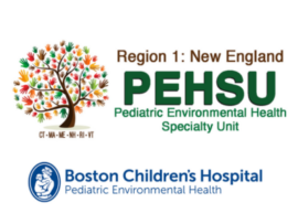 LIVE EVENT: Healthy Homes Grand Rounds (October 13, 2026)