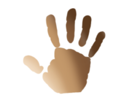 LIVE In-Person: Pediatric Dermatology for Primary Care (September 24, 2026)