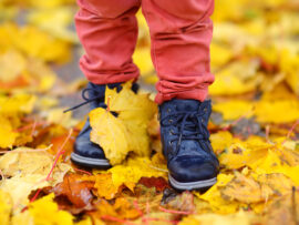 LIVE VIRTUAL: Fall Community Health Summit (October 14, 2026)