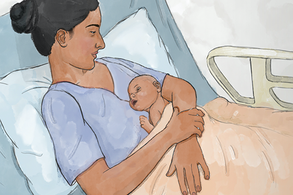 BELLA Breastfeeding: Provider Training Course (3.25 hrs.)