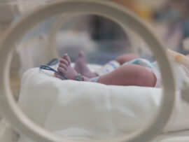 LIVE In-Person: Neonatology Basic Science Summit (October 15-17, 2026)