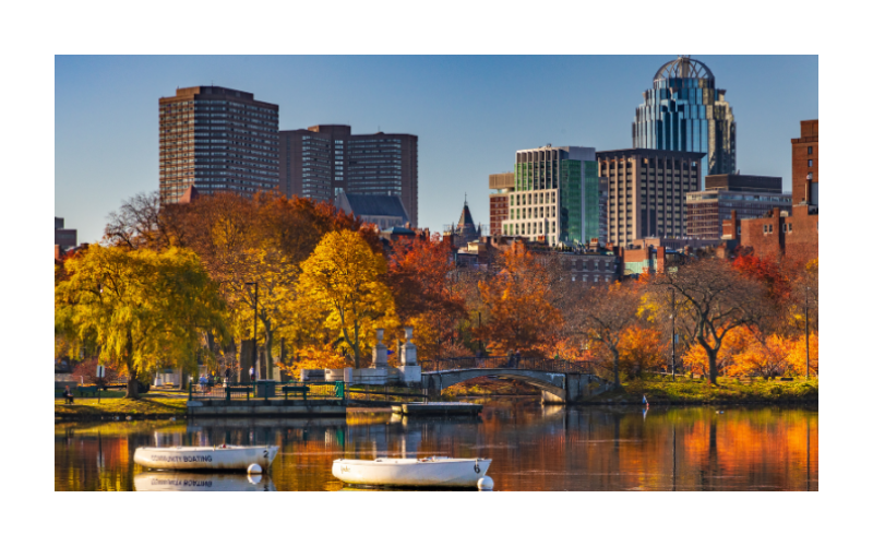LIVE In-Person: Pediatric Emergency Medicine in Practice: An Innovative & Interactive Course for Real World Experience (November 5-6, 2026)
